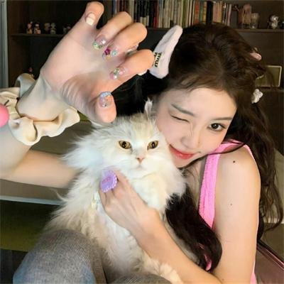 动物狂想曲第二季